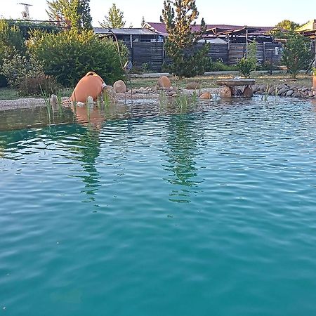 Hotel Albergue Bioclimatico Sabinares Del Arlanza Пуэнтедура Экстерьер фото