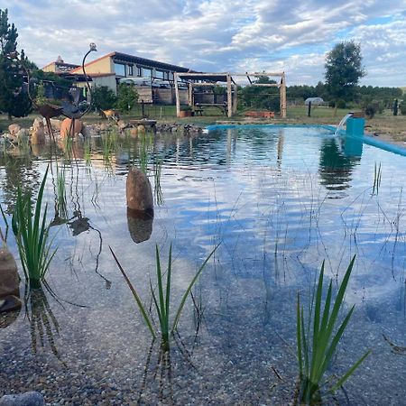 Hotel Albergue Bioclimatico Sabinares Del Arlanza Пуэнтедура Экстерьер фото
