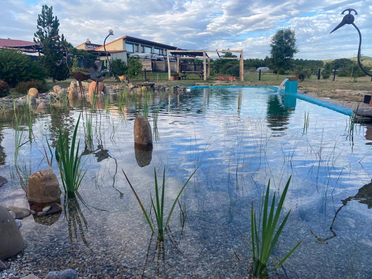 Hotel Albergue Bioclimatico Sabinares Del Arlanza Пуэнтедура Экстерьер фото