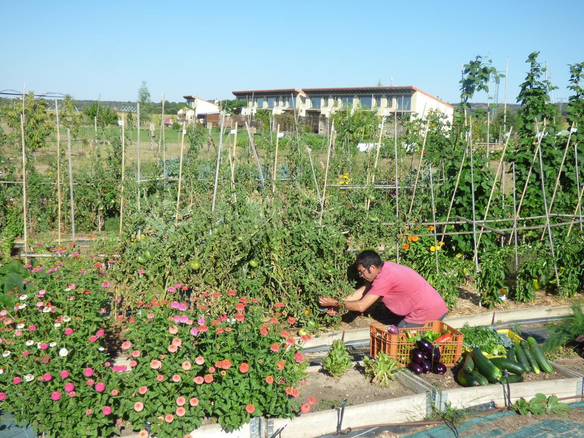 Hotel Albergue Bioclimatico Sabinares Del Arlanza Пуэнтедура Экстерьер фото