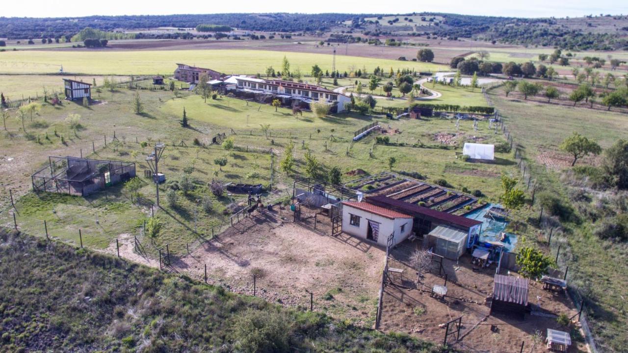 Hotel Albergue Bioclimatico Sabinares Del Arlanza Пуэнтедура Экстерьер фото
